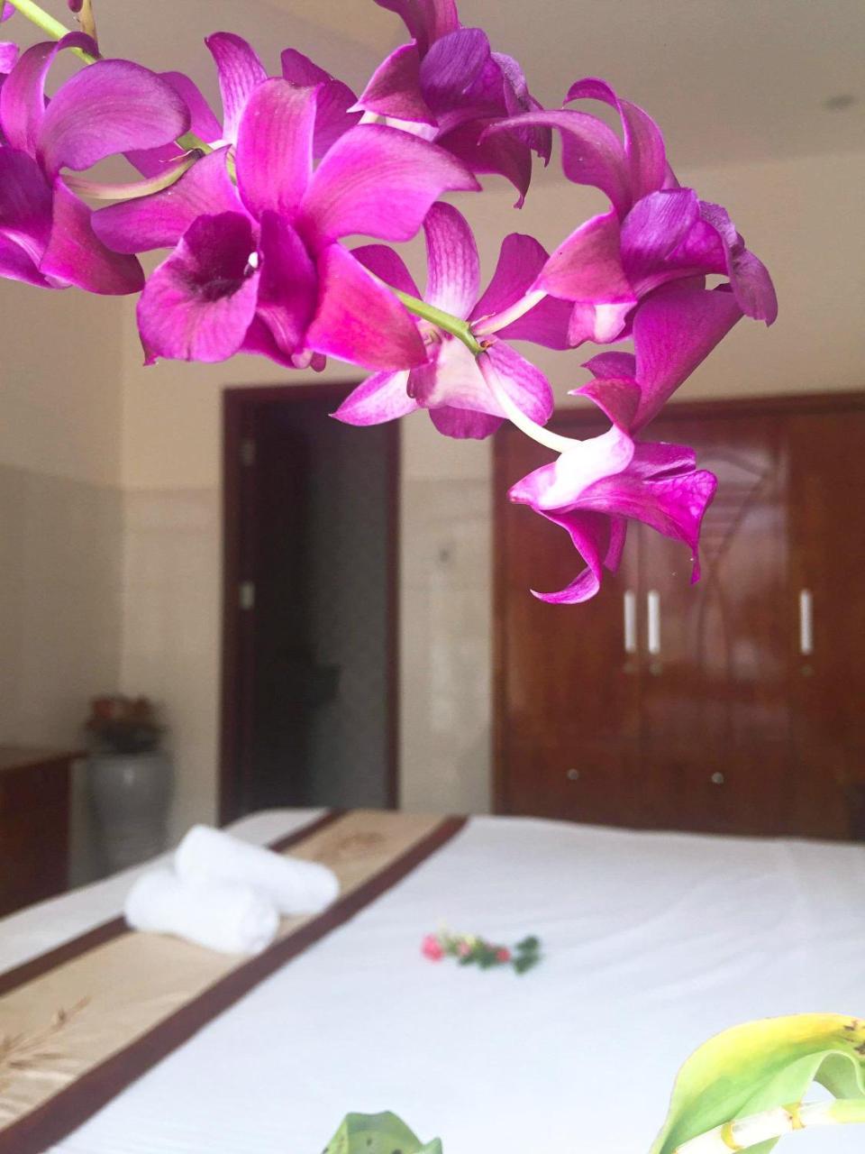 Holy Land Homestay Hoi An Esterno foto
