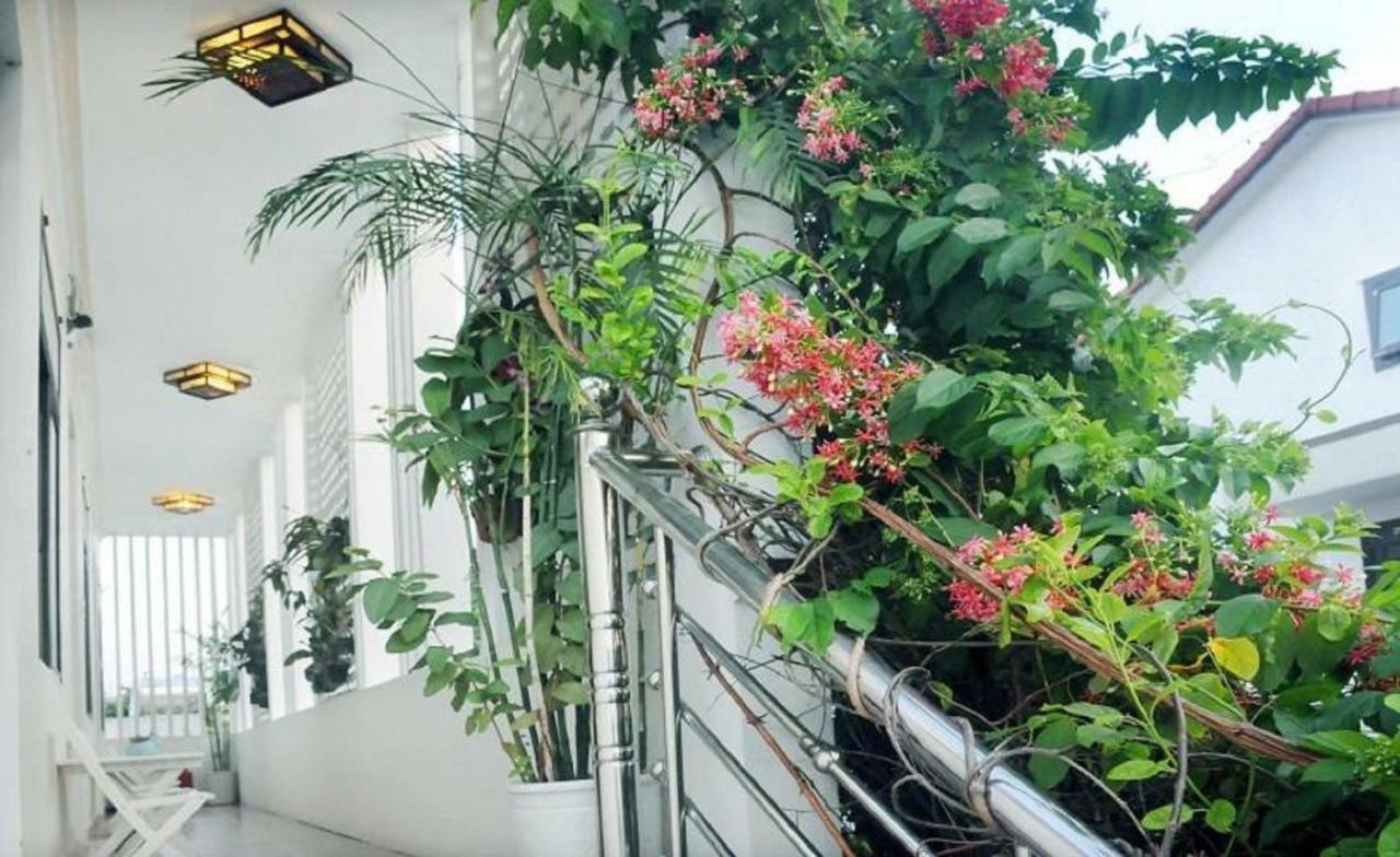 Holy Land Homestay Hoi An Esterno foto
